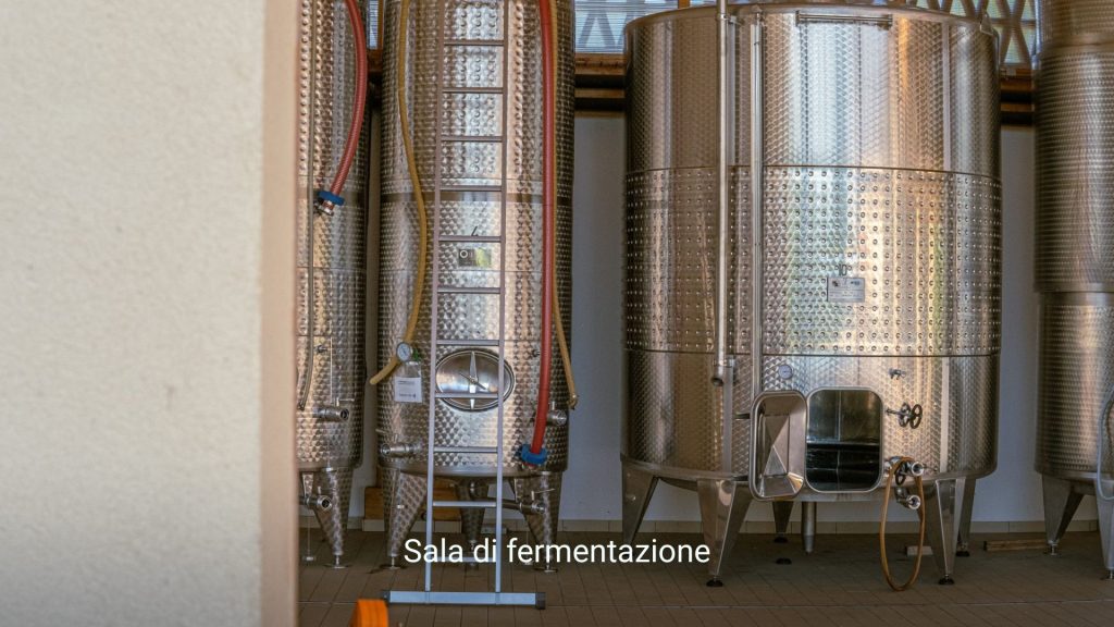 SalaVinificazione_tenutaFronteLago